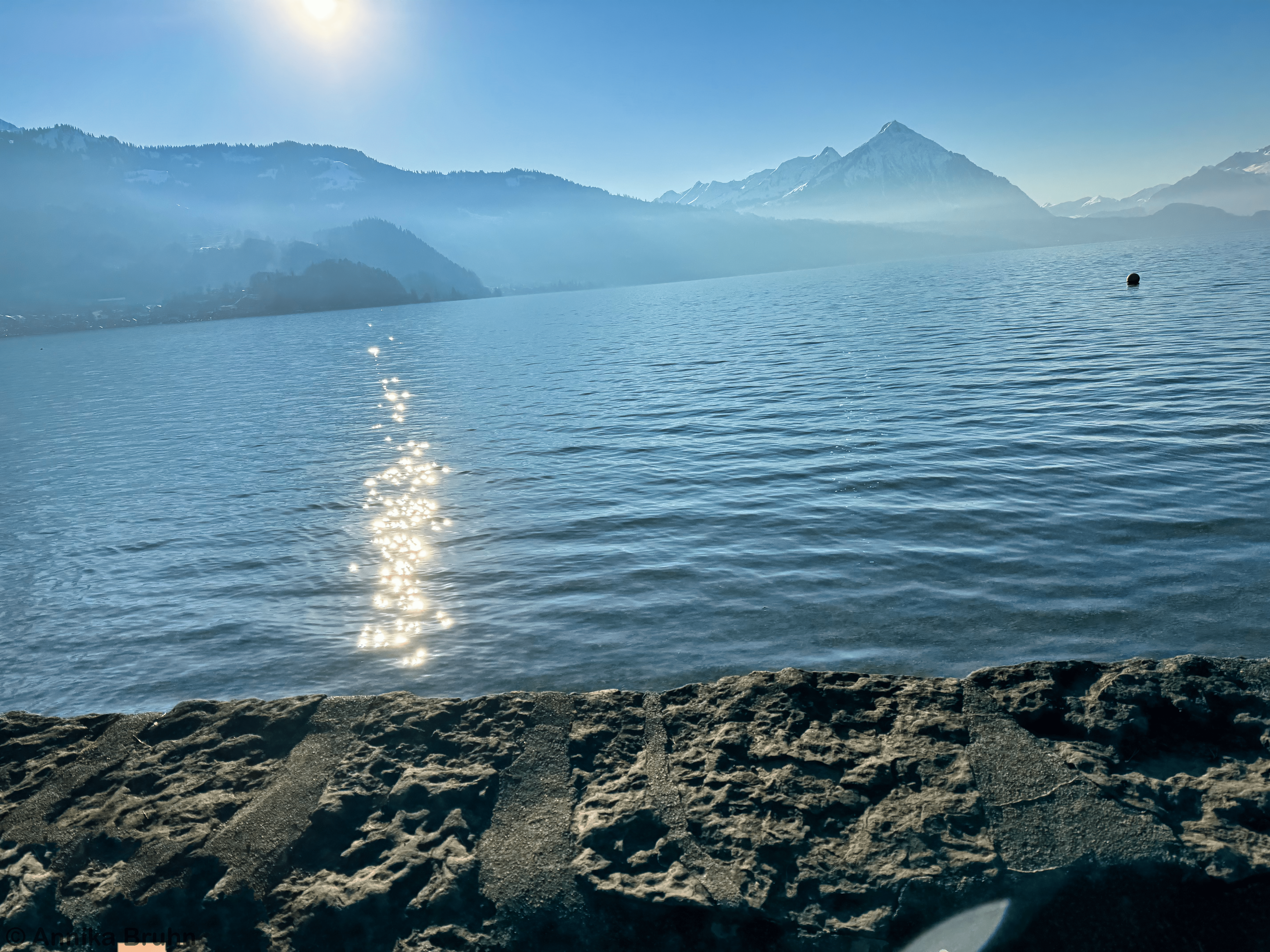 Blick auf den Thunersee